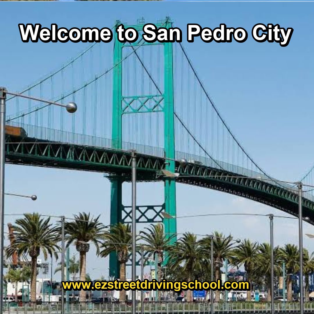 Driving Lessons in San Pedro